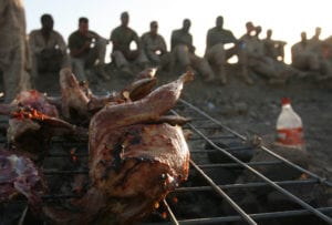 Marines from Combat Logistics Battalion 6, 1st Marine Logistics Group (Forward) chat about the day's events as their freshly butchered chickens roast atop their makeshift grill, May 10. Following a combat logistics patrol from Forward Operating Base Edinburgh, the Marines spent the afternoon relaxing and interacting with local villagers, one of whom sold them several chickens and fresh vegetables  a welcomed change of pace to another Meal, Ready-to-Eat for dinner.