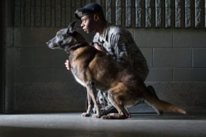 Staff Sgt. Christopher Bennett, 673rd Security Forces Squadron military working dog handler, works with Kimba, a Belgian Malinois, at one of the kennels at Joint Base Elmendorf-Richardson, Alaska, Sept. 11, 2018. Kimba is approaching retirement after 10 years of military service. (U.S. Air Force photo by Justin Connaher)